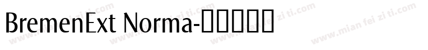 BremenExt Norma字体转换